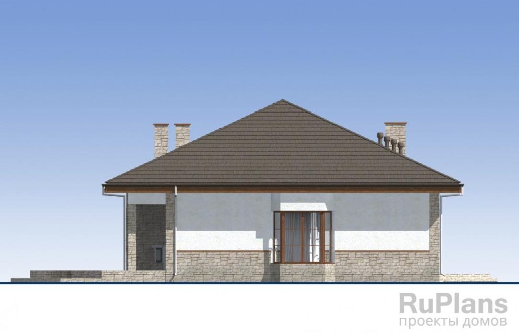 Проект одноэтажного жилого дома с террасами Rg5201 — фото 8