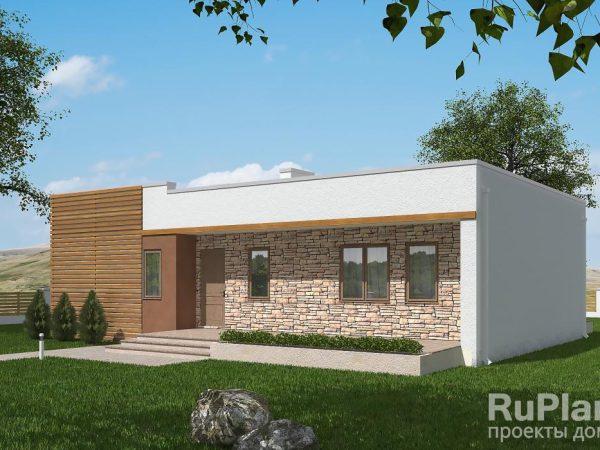 Проект одноэтажного дома с террасами и плоской крышей Rg5741